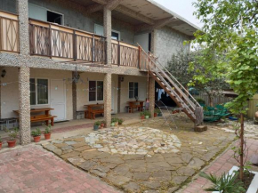 Hotel Damir